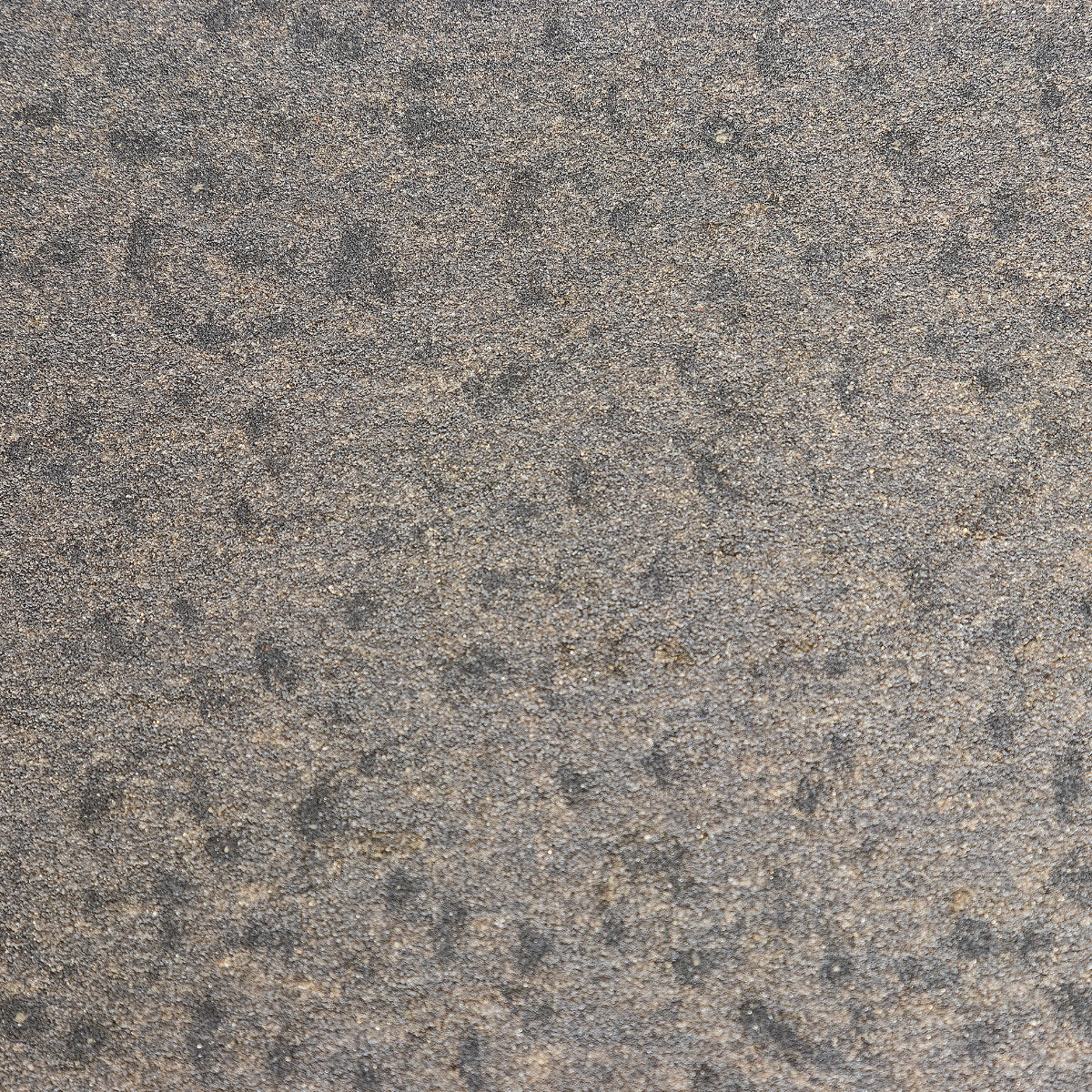 14 x 28 Square Scrub Sandpaper (20 - 100 Grit) - Case of 20